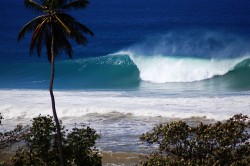 Delicately-shaded violence at Tres Palmas.